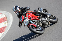 Lower Group Red Bikes